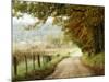 Autumn on a Country Road-Danny Head-Mounted Photographic Print