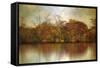 Autumn on a Pond-Jessica Jenney-Framed Stretched Canvas