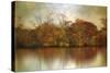 Autumn on a Pond-Jessica Jenney-Stretched Canvas