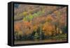 Autumn on Echo Lake, Franconia Notch State Park, New Hampshire, USA-Michel Hersen-Framed Stretched Canvas