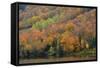 Autumn on Echo Lake, Franconia Notch State Park, New Hampshire, USA-Michel Hersen-Framed Stretched Canvas