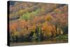 Autumn on Echo Lake, Franconia Notch State Park, New Hampshire, USA-Michel Hersen-Stretched Canvas