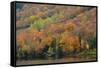 Autumn on Echo Lake, Franconia Notch State Park, New Hampshire, USA-Michel Hersen-Framed Stretched Canvas