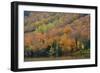 Autumn on Echo Lake, Franconia Notch State Park, New Hampshire, USA-Michel Hersen-Framed Photographic Print