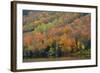 Autumn on Echo Lake, Franconia Notch State Park, New Hampshire, USA-Michel Hersen-Framed Photographic Print