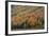 Autumn on Echo Lake, Franconia Notch State Park, New Hampshire, USA-Michel Hersen-Framed Photographic Print