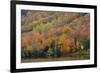 Autumn on Echo Lake, Franconia Notch State Park, New Hampshire, USA-Michel Hersen-Framed Photographic Print