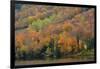 Autumn on Echo Lake, Franconia Notch State Park, New Hampshire, USA-Michel Hersen-Framed Photographic Print