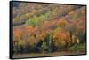 Autumn on Echo Lake, Franconia Notch State Park, New Hampshire, USA-Michel Hersen-Framed Stretched Canvas