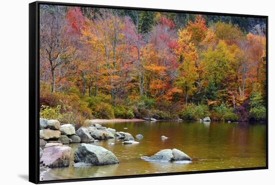 Autumn on Echo Lake, Franconia Notch State Park, New Hampshire, USA-Michel Hersen-Framed Stretched Canvas