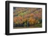 Autumn on Echo Lake, Franconia Notch State Park, New Hampshire, USA-Michel Hersen-Framed Photographic Print