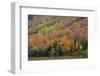 Autumn on Echo Lake, Franconia Notch State Park, New Hampshire, USA-Michel Hersen-Framed Photographic Print