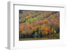 Autumn on Echo Lake, Franconia Notch State Park, New Hampshire, USA-Michel Hersen-Framed Photographic Print