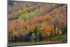 Autumn on Echo Lake, Franconia Notch State Park, New Hampshire, USA-Michel Hersen-Mounted Photographic Print