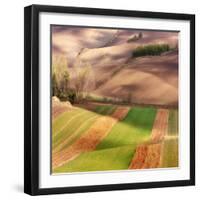 Autumn on Fields-Marcin Sobas-Framed Photographic Print