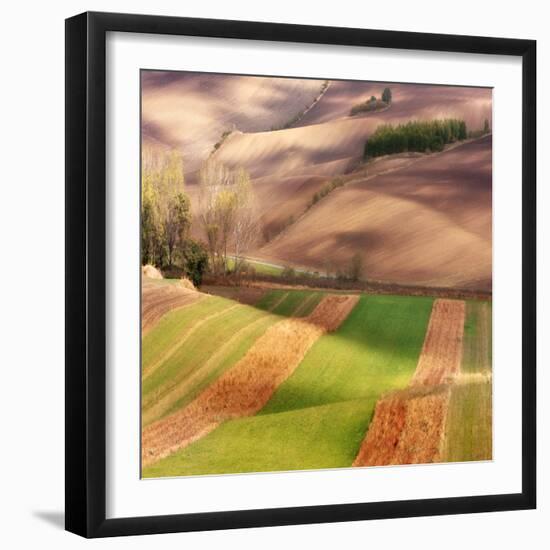 Autumn on Fields-Marcin Sobas-Framed Photographic Print