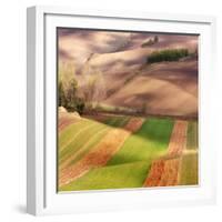 Autumn on Fields-Marcin Sobas-Framed Photographic Print