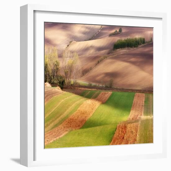 Autumn on Fields-Marcin Sobas-Framed Photographic Print