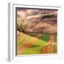 Autumn on Fields-Marcin Sobas-Framed Photographic Print