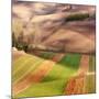 Autumn on Fields-Marcin Sobas-Mounted Photographic Print