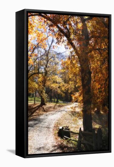 Autumn on Kent Farm IV-Alan Hausenflock-Framed Stretched Canvas