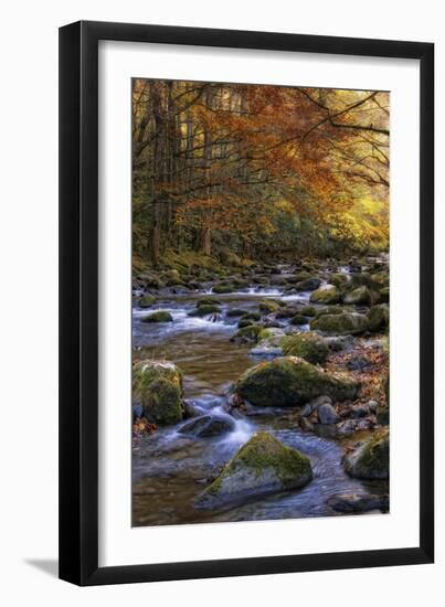 Autumn on Little River-Danny Head-Framed Photographic Print