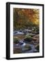 Autumn on Little River-Danny Head-Framed Photographic Print