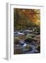 Autumn on Little River-Danny Head-Framed Photographic Print