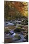 Autumn on Little River-Danny Head-Mounted Photographic Print