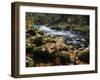 Autumn on the Salmon River, Welches, Oregon, USA-Michel Hersen-Framed Premium Photographic Print