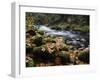 Autumn on the Salmon River, Welches, Oregon, USA-Michel Hersen-Framed Premium Photographic Print