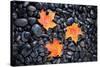 Autumn Orange Maple Leaves-Steve Gadomski-Stretched Canvas