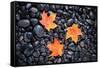 Autumn Orange Maple Leaves-Steve Gadomski-Framed Stretched Canvas