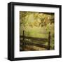 Autumn Overture-Dawne Polis-Framed Art Print