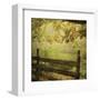 Autumn Overture-Dawne Polis-Framed Art Print