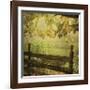 Autumn Overture-Dawne Polis-Framed Giclee Print