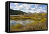 Autumn, Oxbow, Grand Teton National Park, Wyoming, USA-Michel Hersen-Framed Stretched Canvas