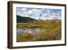 Autumn, Oxbow, Grand Teton National Park, Wyoming, USA-Michel Hersen-Framed Photographic Print