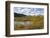 Autumn, Oxbow, Grand Teton National Park, Wyoming, USA-Michel Hersen-Framed Photographic Print