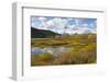 Autumn, Oxbow, Grand Teton National Park, Wyoming, USA-Michel Hersen-Framed Photographic Print