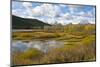 Autumn, Oxbow, Grand Teton National Park, Wyoming, USA-Michel Hersen-Mounted Photographic Print