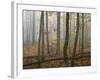 Autumn, Ozark-St. Francis National Forest, Arkansas, USA-Charles Gurche-Framed Photographic Print