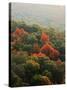 Autumn, Ozark-St. Francis National Forest, Arkansas, USA-Charles Gurche-Stretched Canvas