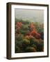 Autumn, Ozark-St. Francis National Forest, Arkansas, USA-Charles Gurche-Framed Photographic Print