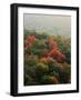 Autumn, Ozark-St. Francis National Forest, Arkansas, USA-Charles Gurche-Framed Photographic Print