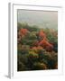 Autumn, Ozark-St. Francis National Forest, Arkansas, USA-Charles Gurche-Framed Photographic Print