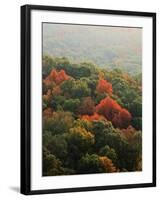 Autumn, Ozark-St. Francis National Forest, Arkansas, USA-Charles Gurche-Framed Photographic Print