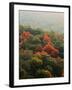 Autumn, Ozark-St. Francis National Forest, Arkansas, USA-Charles Gurche-Framed Photographic Print