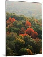 Autumn, Ozark-St. Francis National Forest, Arkansas, USA-Charles Gurche-Mounted Photographic Print