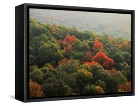 Autumn, Ozark-St. Francis National Forest, Arkansas, USA-Charles Gurche-Framed Stretched Canvas